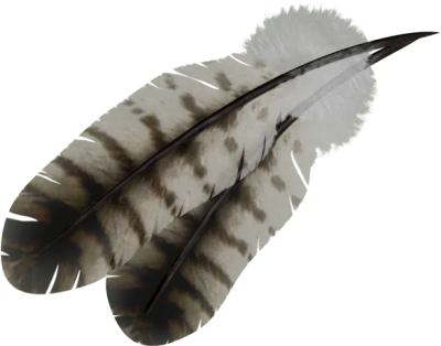 Feather PNG