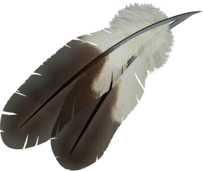 Feather PNG