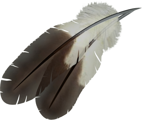 Feather PNG