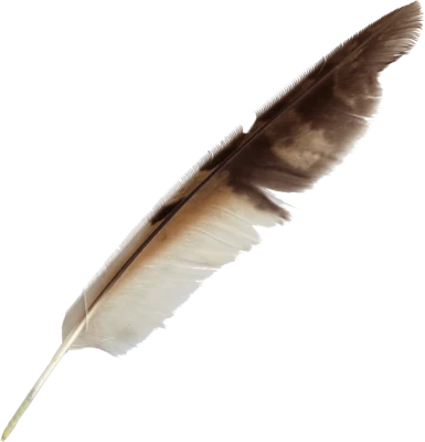 Feather PNG