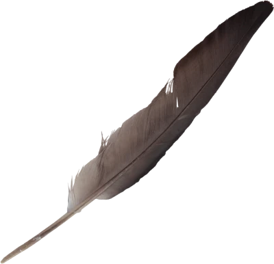 Feather PNG