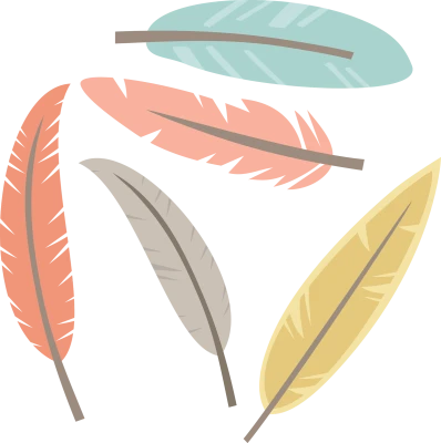 Feather PNG
