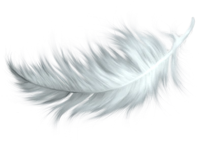 Feather Transparent PNG