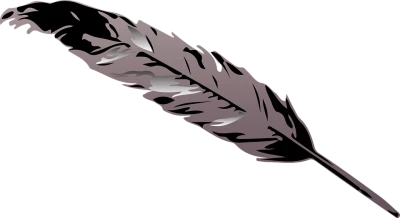Feather Transparent PNG