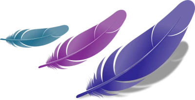 Feather Transparent PNG