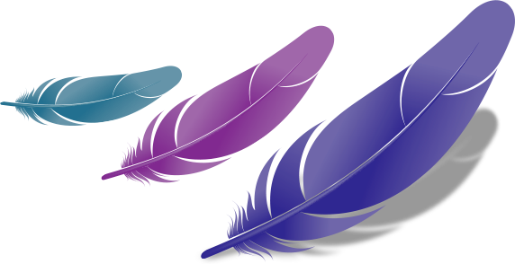 Feather Transparent PNG