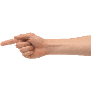 Hand Finger PNG