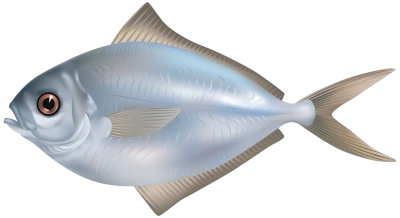 Fish PNG