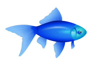 Fish PNG