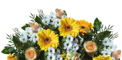 Flower Bokeh Transparent PNG