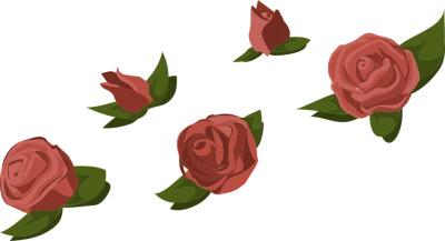 Flower Bokeh Transparent PNG