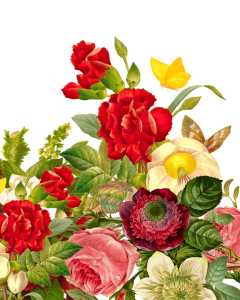 Floral Bouquet PNG