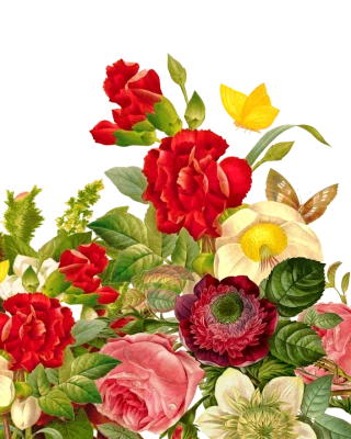 Floral Bouquet PNG