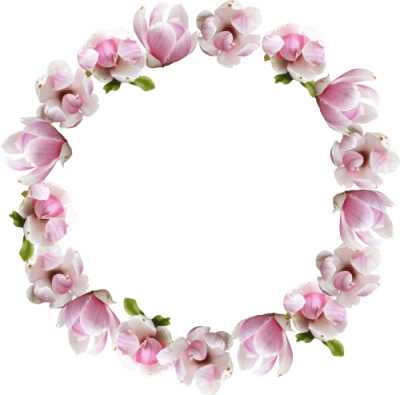Flower Crown Transparent PNG