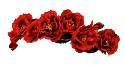 Flower Crown Transparent PNG