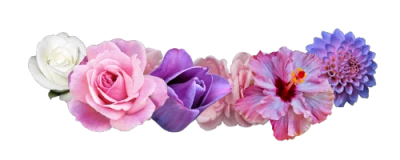 Flower Crown Transparent PNG