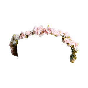 Floral Head Crown PNG