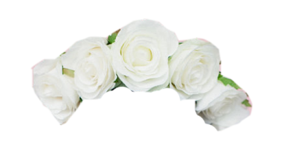 Floral Head Crown PNG