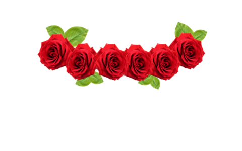 Floral Head Crown PNG