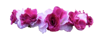 Floral Head Crown PNG