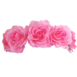 Floral Head Crown PNG