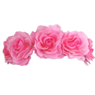 Floral Head Crown PNG