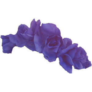 Floral Head Crown PNG
