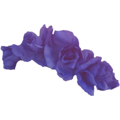 Floral Head Crown PNG