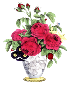 Flower Vase PNG