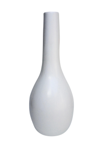 Flower Vase PNG