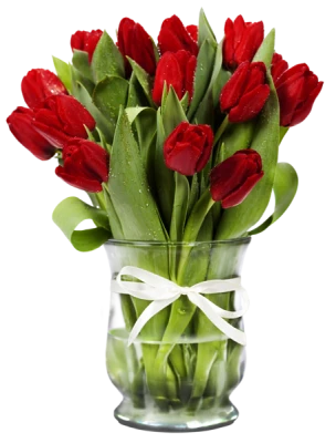 Flower Vase PNG