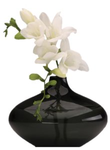 Flower Vase PNG