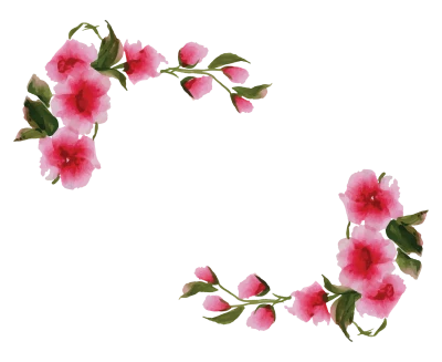 Flower Watercolor Transparent PNG