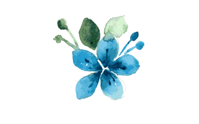 Flower Watercolor Transparent PNG
