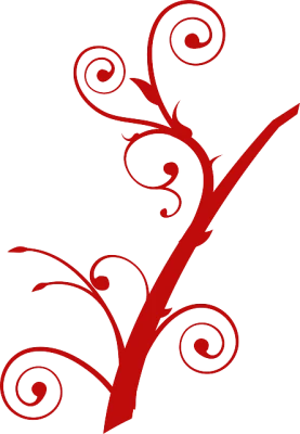 Gambar Bunga Tulip Transparent PNG