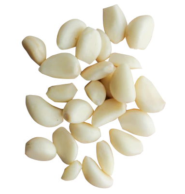Garlic Transparent PNG
