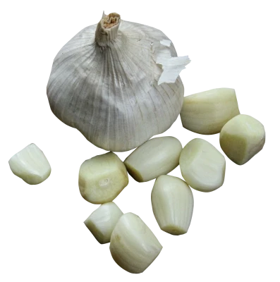 Garlic Transparent PNG