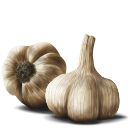 Fresh Garlic PNG
