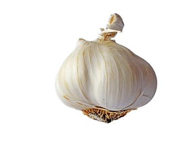 Fresh Garlic PNG