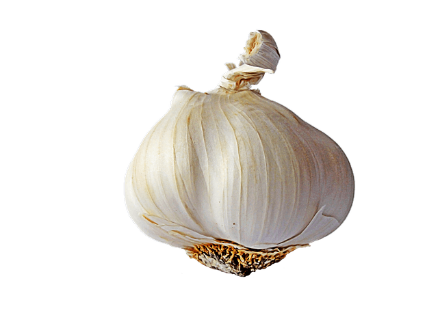 Fresh Garlic PNG