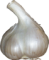 Fresh Garlic PNG