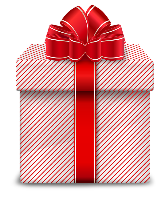 Present Box PNG