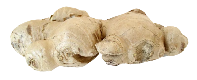 Ginger Transparent PNG