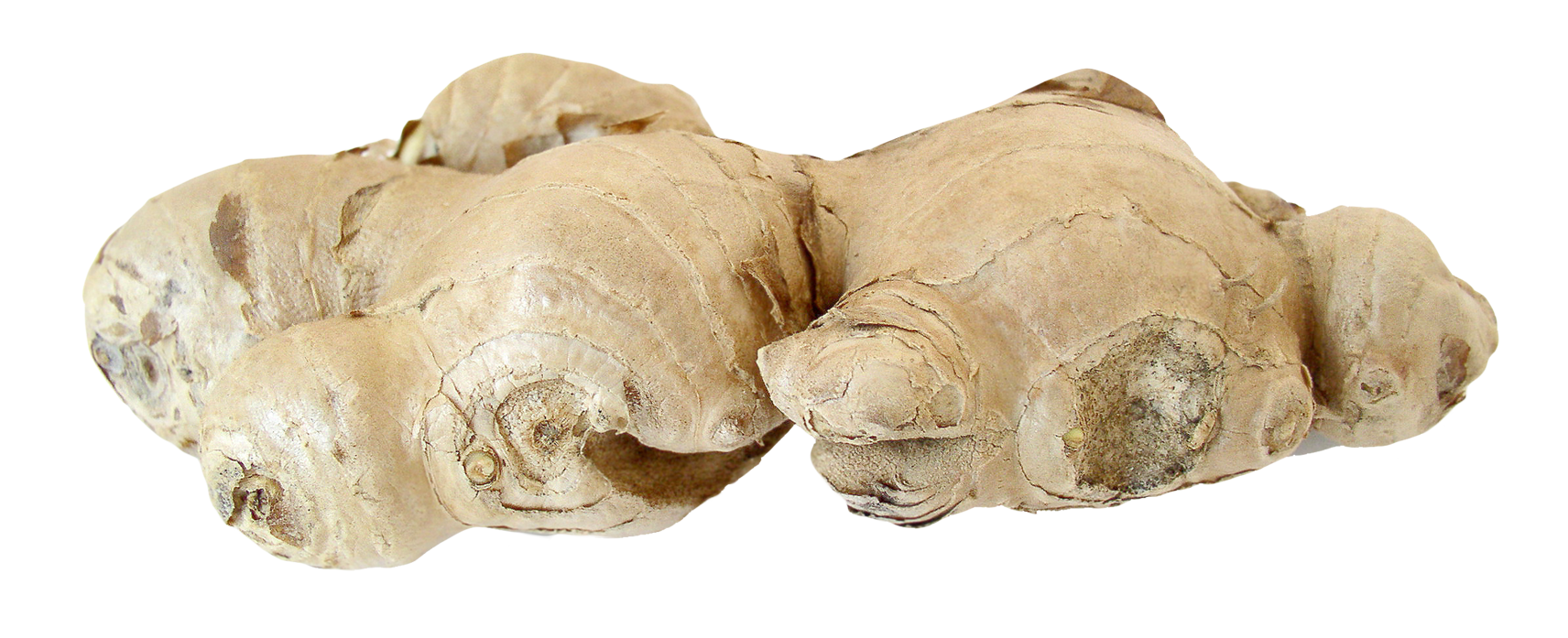 Ginger Transparent PNG