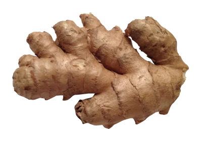 Ginger Transparent PNG