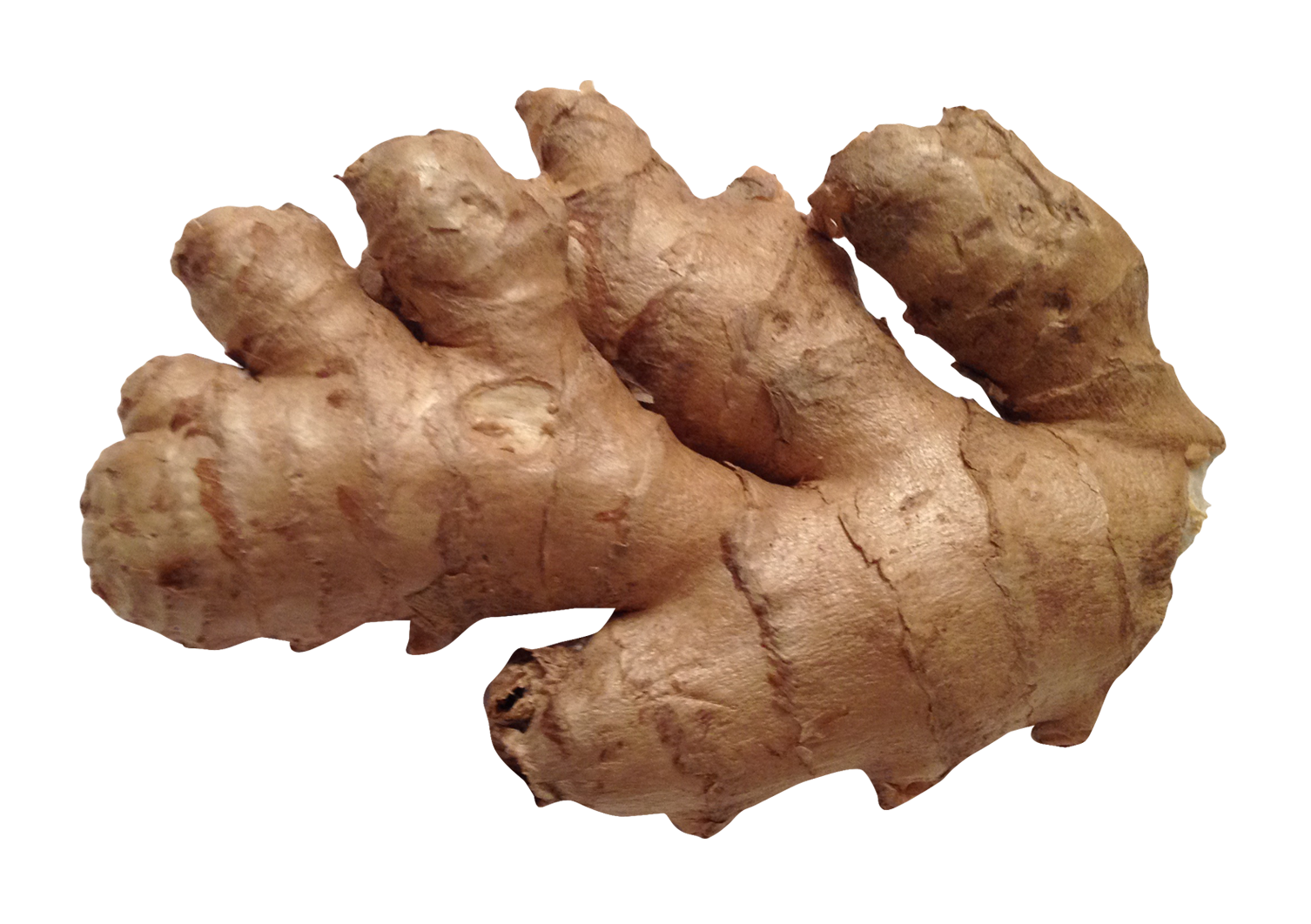 Ginger Transparent PNG