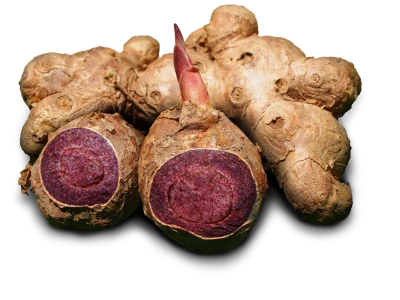 Ginger Transparent PNG