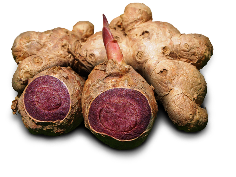 Ginger Transparent PNG