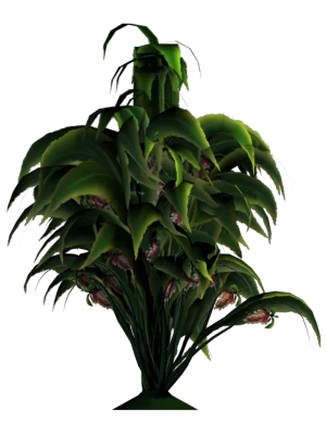 Ginger Transparent PNG