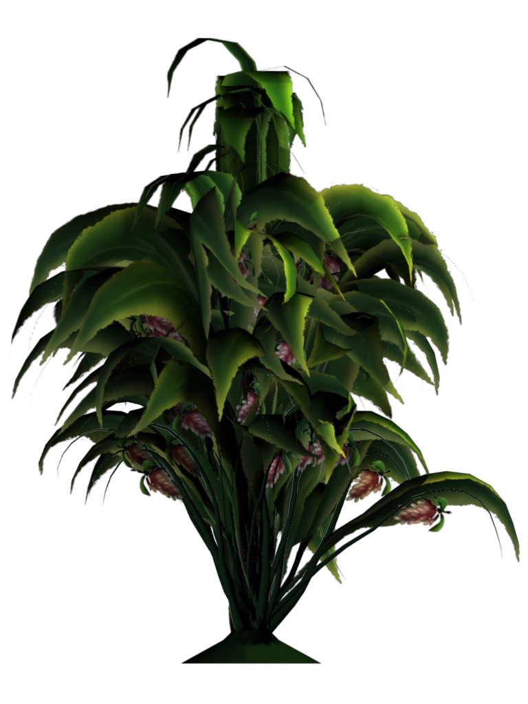 Ginger Transparent PNG